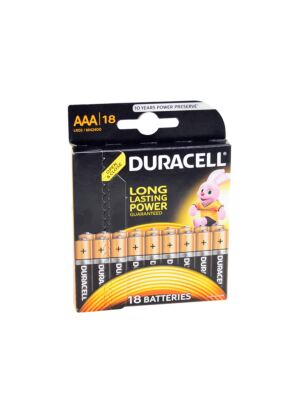 Duracell AAA or R3