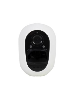 IP919 video surveillance camera IP919, 1080P, WIFI micro SD slot