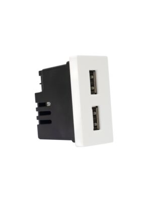 Socket with 2 PNI UB20 USB plugs, embeddable in the 1/2 glass frame