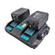 Dual charger kit with PNI DCH218 batteries