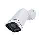 Video surveillance camera 5Mp PNI IP7729