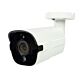 Video surveillance camera PNI IP818JS, POE