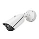 Video surveillance camera PNI IP9444 4MP, AI, POE, 12/24, motorized optical zoom