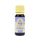 Patchouli essential oil