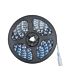 5M W5050 cold white led strip with remote control