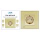 Simple built-in socket PNI WP101G with glass frame, Gold golden color, 16A 3000W